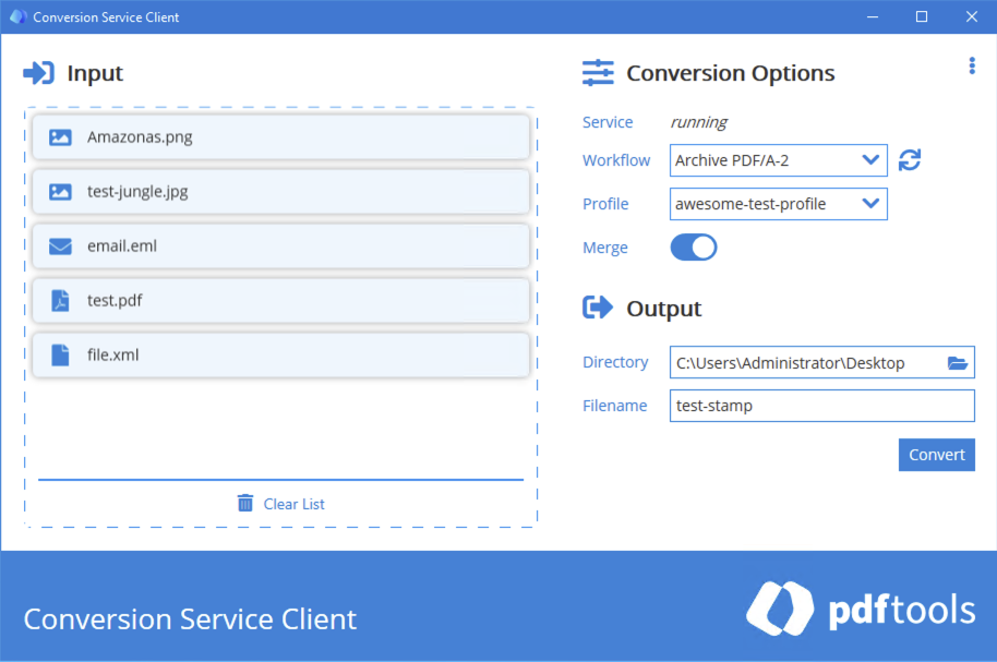 PDF Client for Conversion Service with various files used as an input.